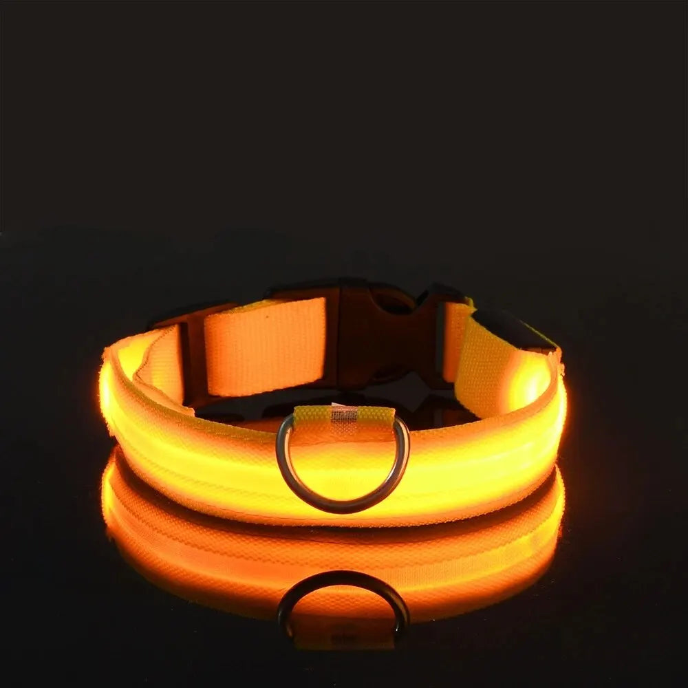 LED Light-Up Dog Leash & Collar
