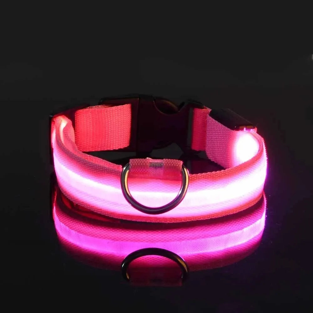 LED Light-Up Dog Leash & Collar