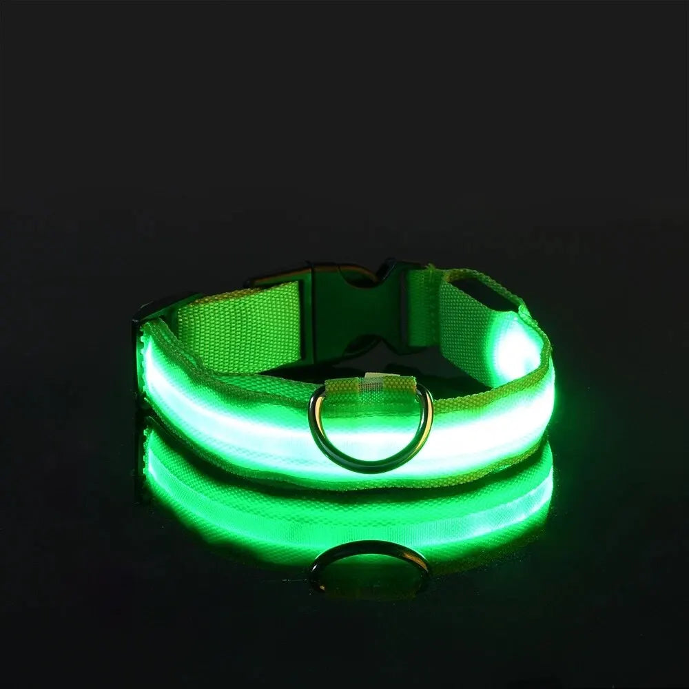 LED Light-Up Dog Leash & Collar