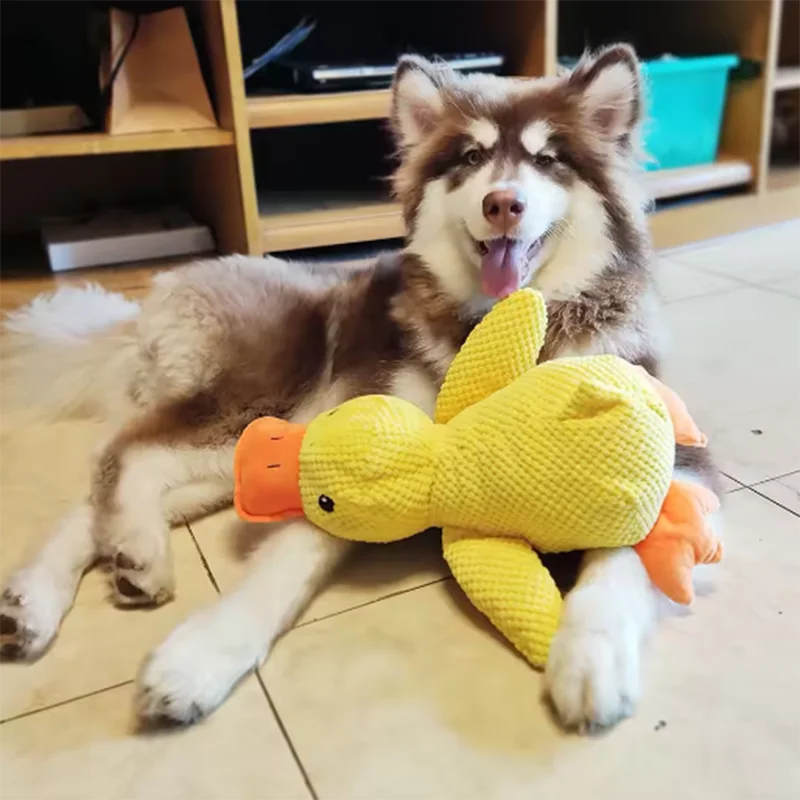 Duck Plush Dog Toy