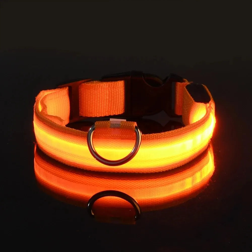 LED Light-Up Dog Leash & Collar