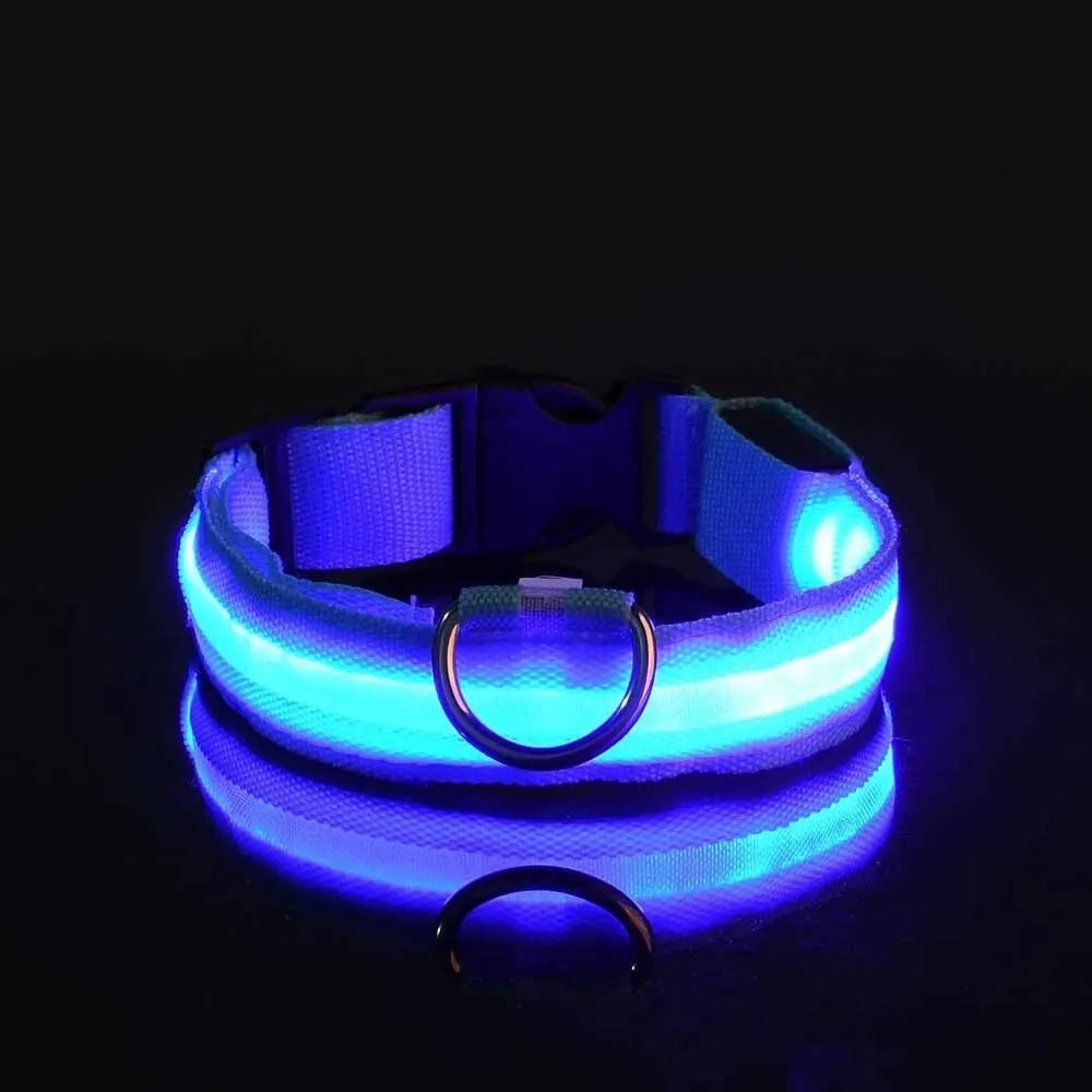 LED Light-Up Dog Leash & Collar