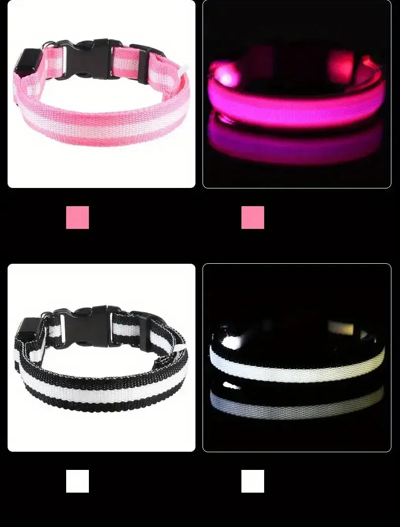 LED Light-Up Dog Leash & Collar