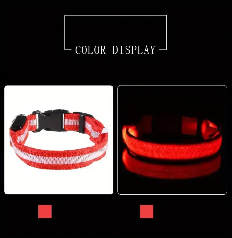 LED Light-Up Dog Leash & Collar