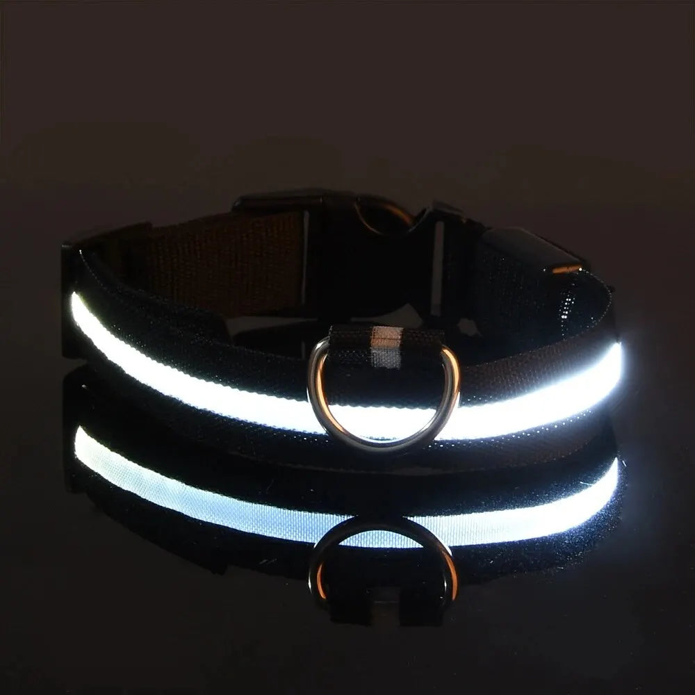 LED Light-Up Dog Leash & Collar