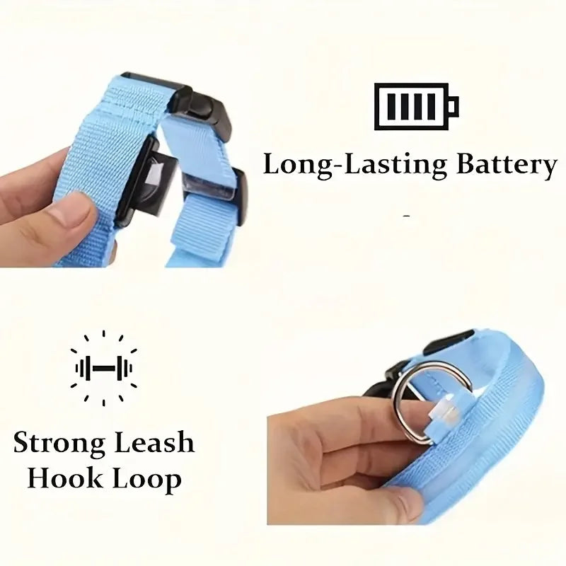 LED Light-Up Dog Leash & Collar