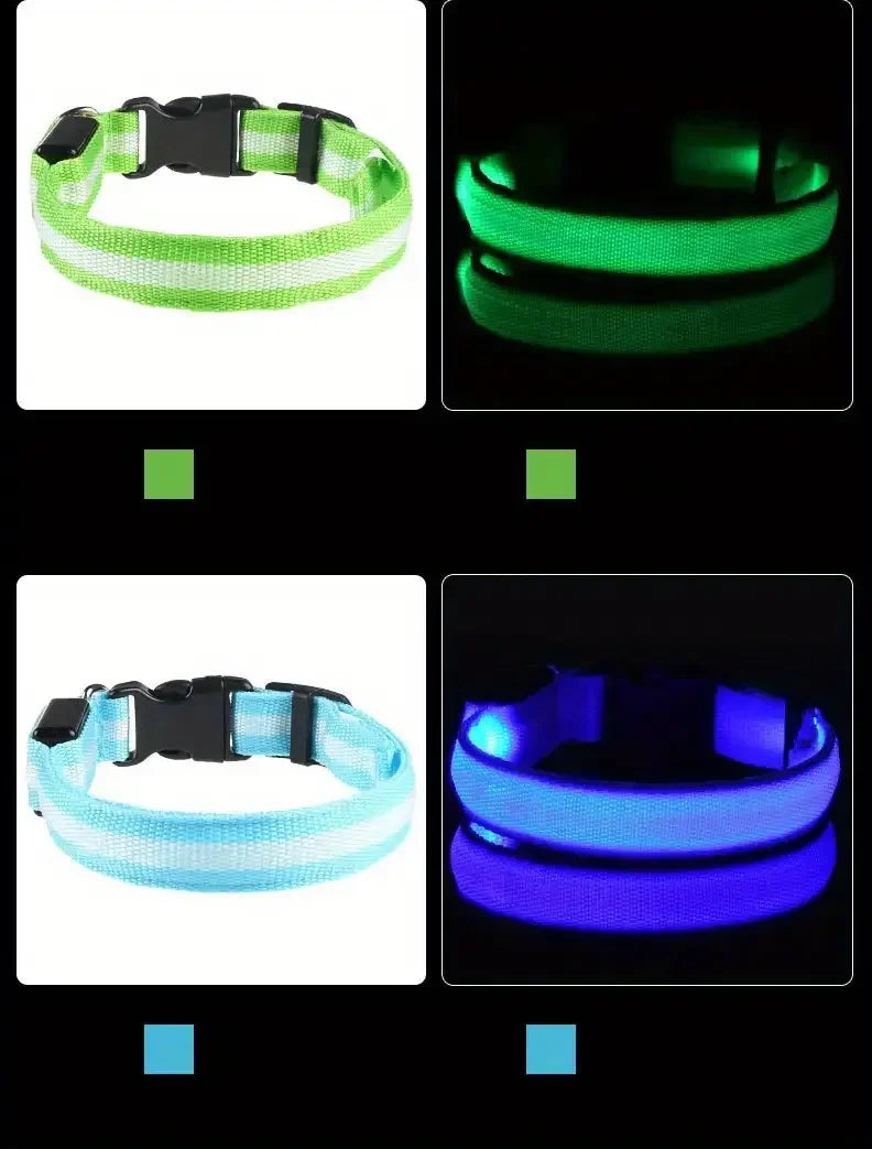 LED Light-Up Dog Leash & Collar