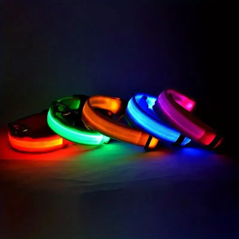 LED Light-Up Dog Leash & Collar