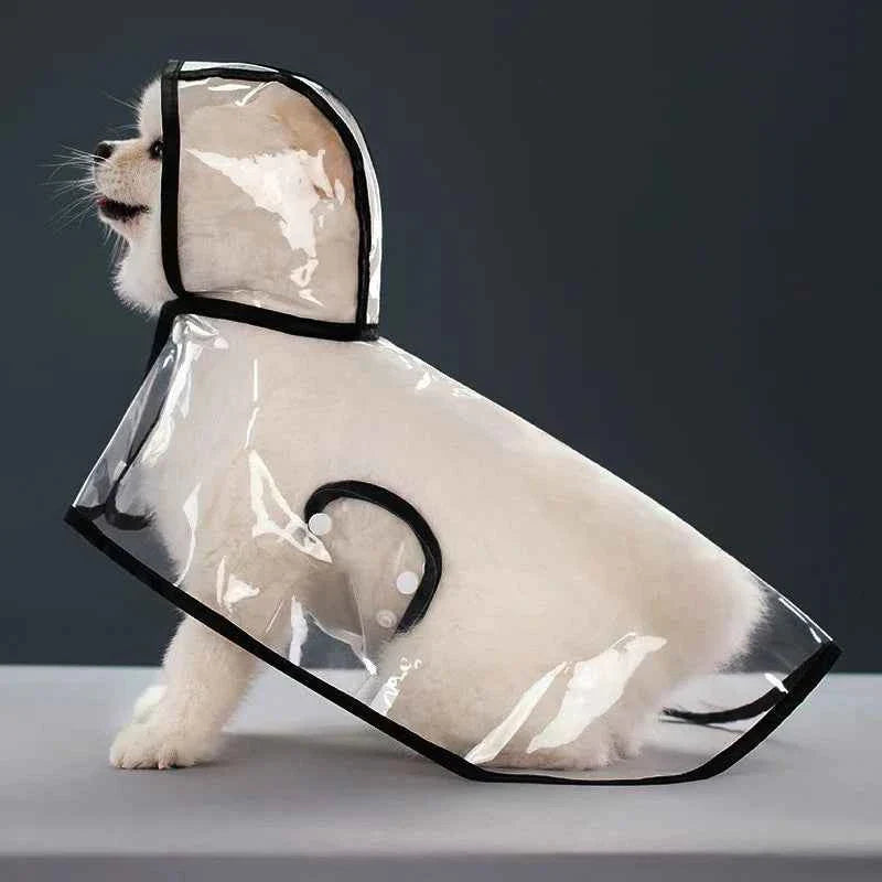 Waterproof Transparent Dog Raincoat with Hood