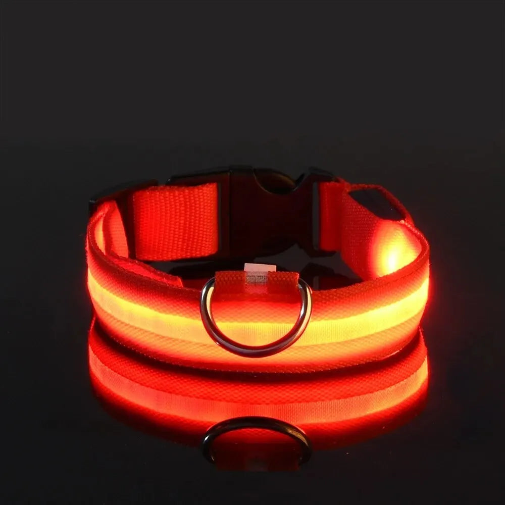LED Light-Up Dog Leash & Collar