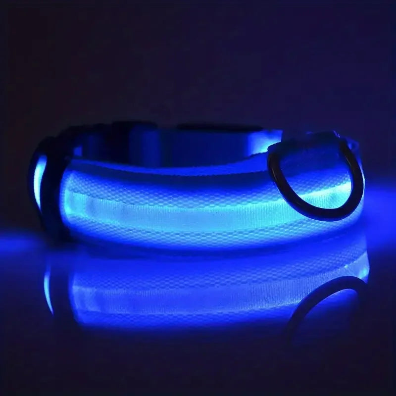 LED Light-Up Dog Leash & Collar