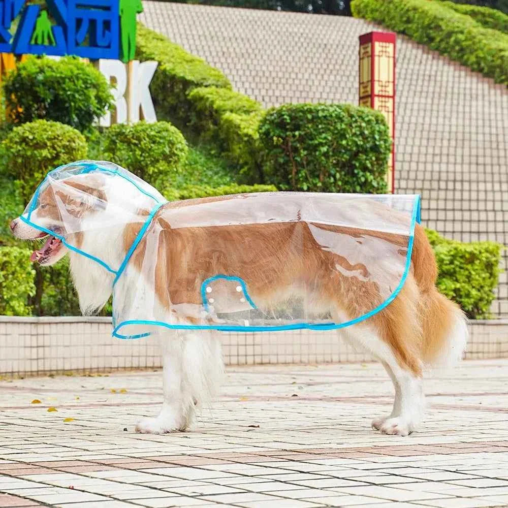 Waterproof Transparent Dog Raincoat with Hood