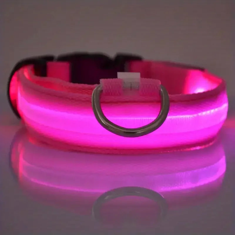 LED Light-Up Dog Leash & Collar