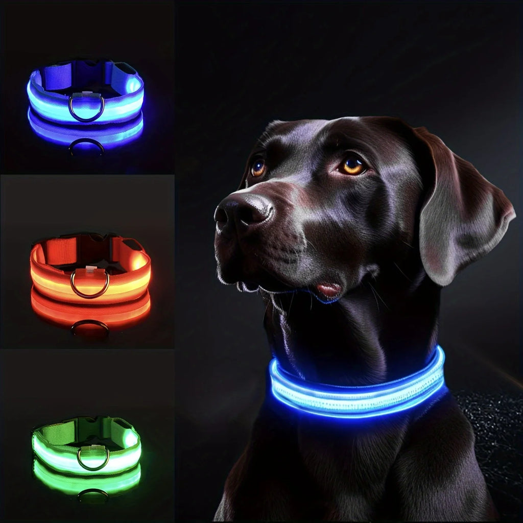 LED Light-Up Dog Leash & Collar