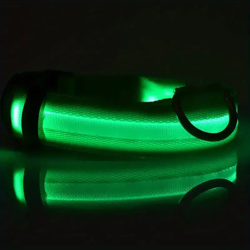 LED Light-Up Dog Leash & Collar