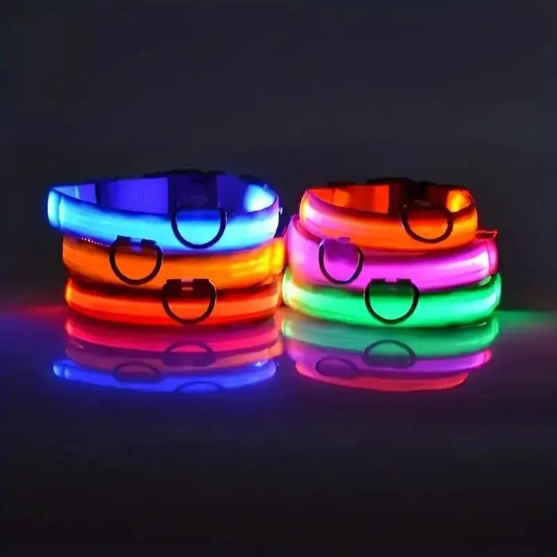 LED Light-Up Dog Leash & Collar