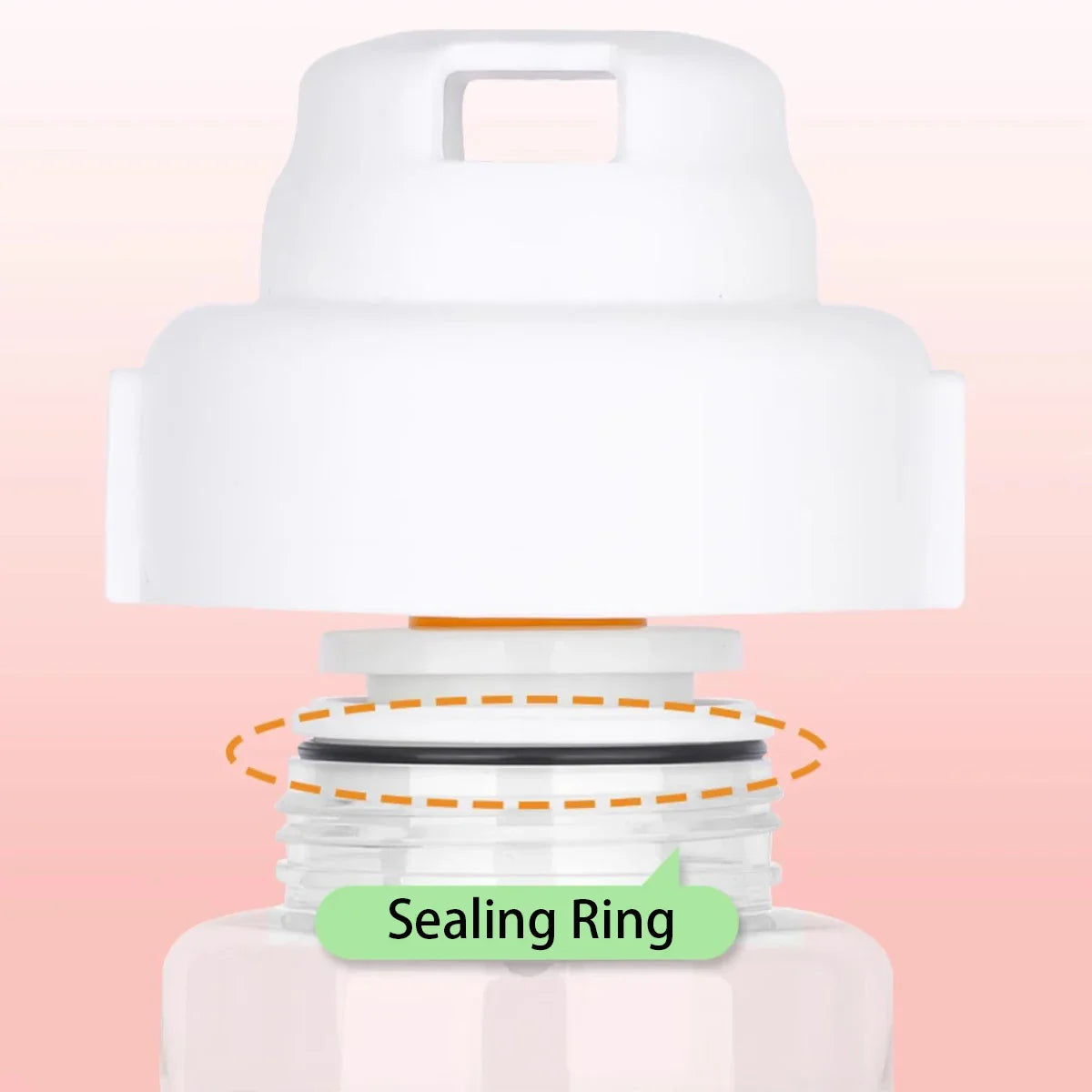 Portable Pet Water Bottle with Food Storage